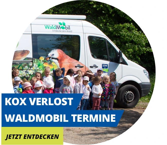 Waldmobil Verlosung