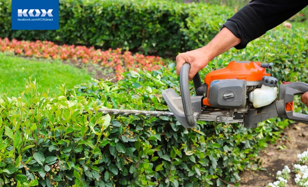 ab1-besten-garten-tipps-spaetsommer-herbst-herbstanfang-ernte-obst-gemuese-zwiebeln-blumen-werkzeug-ratgeber-pflanzen-winterfest-baume-schneiden