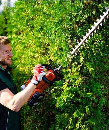 Mann in grner Arbeitskleidung schneidet mit einer elektrischen Heckenschere eine dichte, grne Hecke.