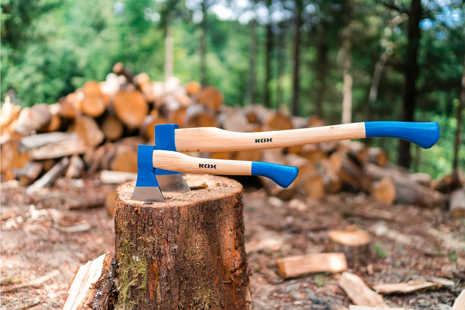 Zwei �xte mit hellen Holzstielen und blauen K�pfen stecken nebeneinander in einem Baumstumpf. Im Hintergrund liegen gestapelte Holzscheite in einem gr�nen Wald, leicht unscharf dargestellt.