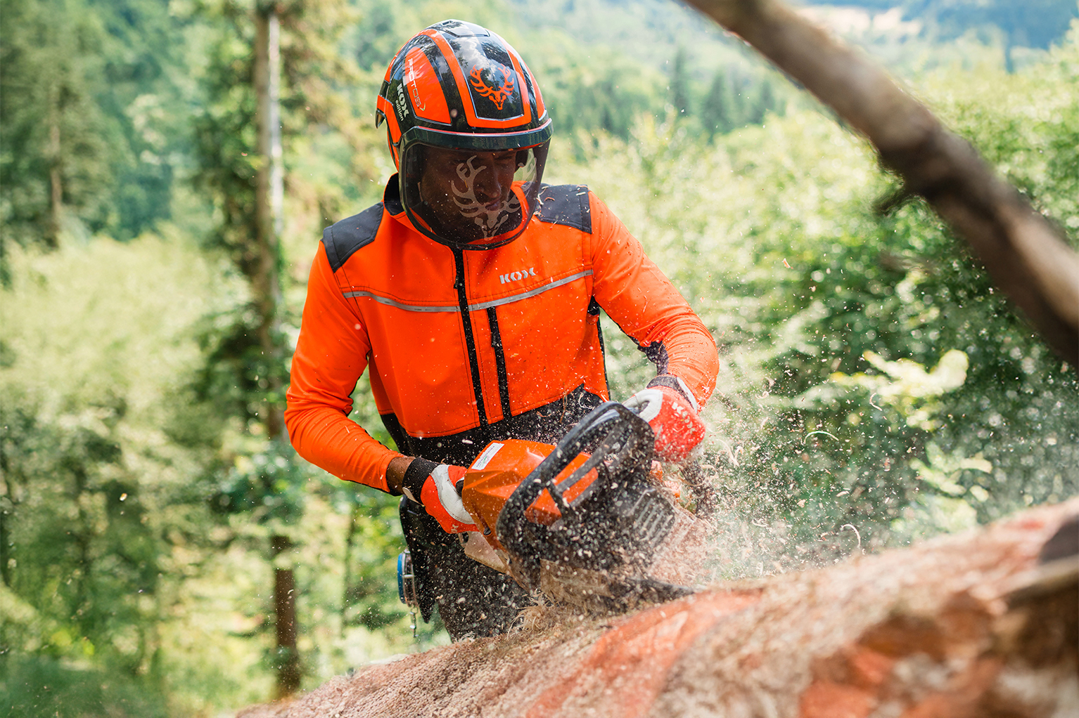 Eine Person in orangefarbener Forstschutzkleidung und mit Helm s�gt im Forst mit einer Motors�ge an einem Baumstamm, w�hrend S�gesp�ne durch die Luft fliegen.