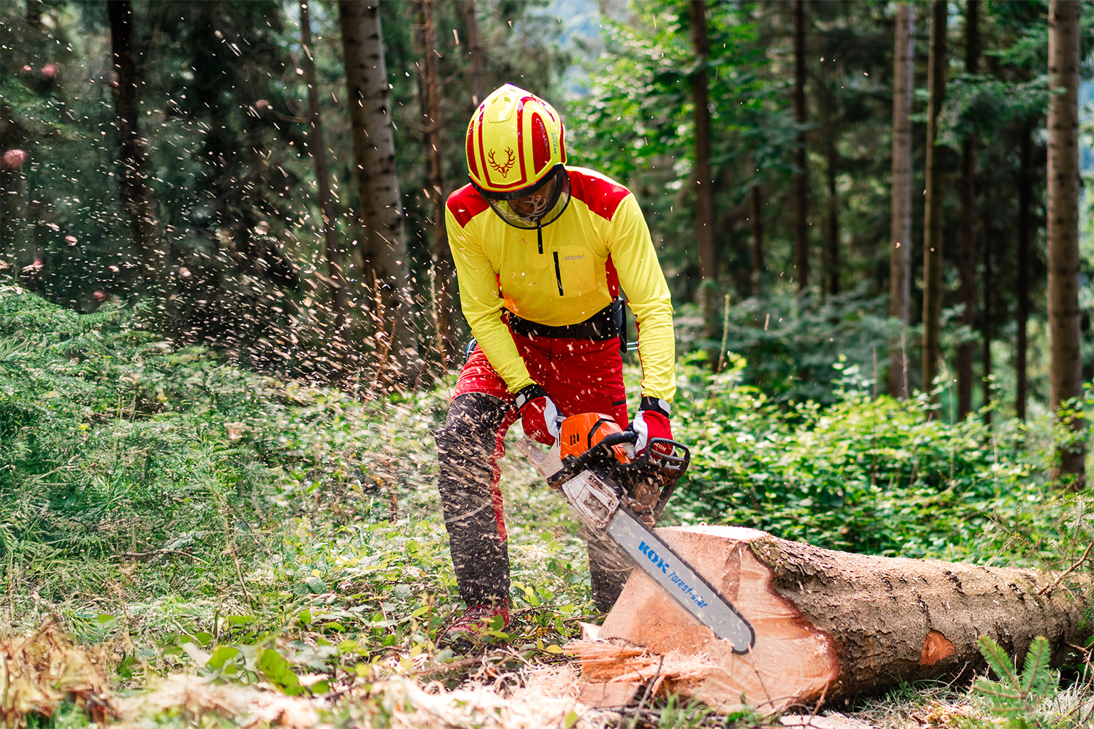 Ein Forstarbeiter in gelb-roter Schutzkleidung zers�gt mit einer Motors�ge einen liegenden Baumstamm im Wald.