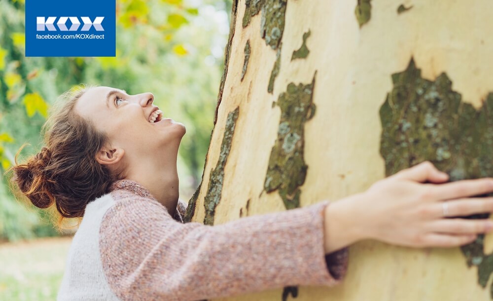 191121_KOX_Blog_November_DE_2