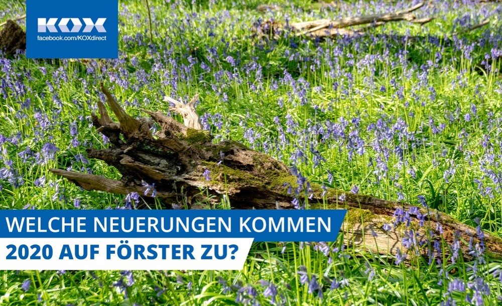 Welche Neuerungen kommen 2020 auf Frster zu?