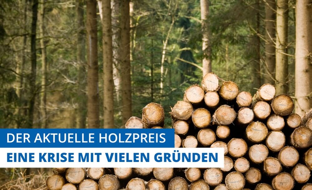 Der aktuelle Holzpreis - eine Krise mit vielen Grnden