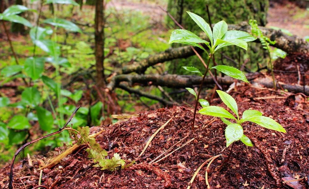 201125_KOX_Blog_Dezember_DE_3-1536x816