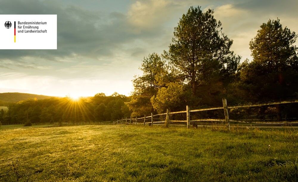 aufgabenbereiche-wald-zukunft-aufgaben-kompetenz-information-forstwirtschaft-forst-nachhaltigkeit-forderungen