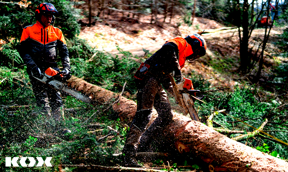 Tipp Sicherheit im Umgang mit Kettensgen