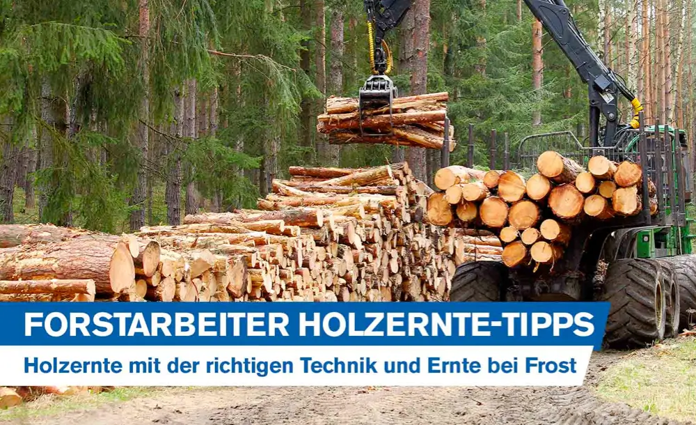 ernte-tipps-holzernte-forstarbeiter-wald-holz-ernten-technik-unfallrisiko-vermeiden
