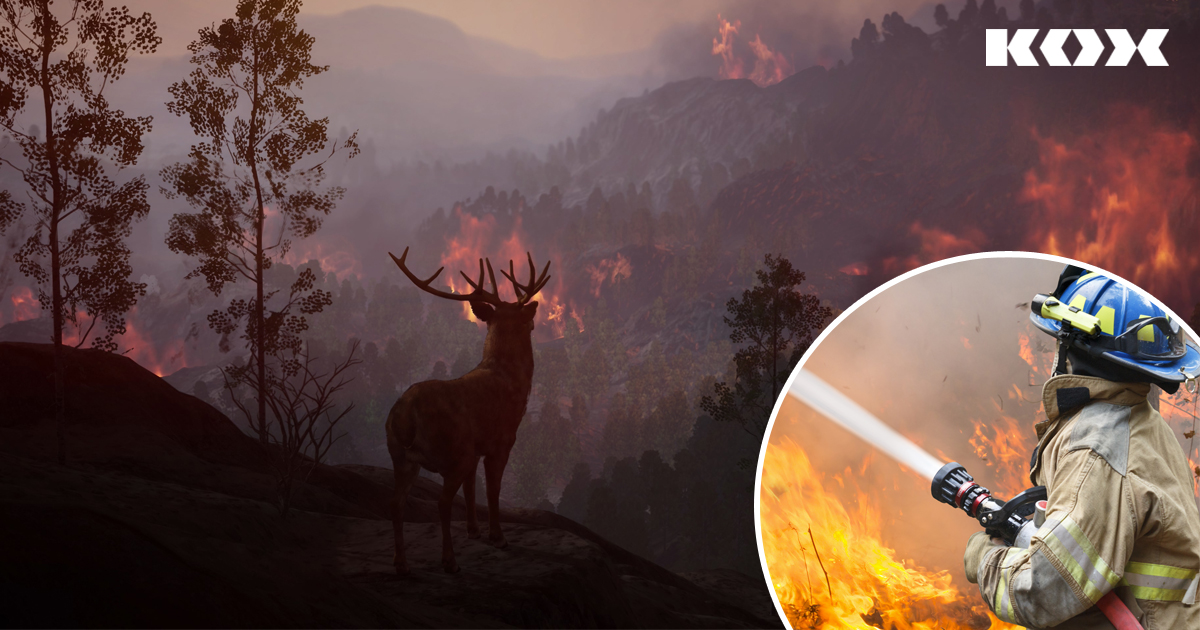 Trockenheit im Forst 2022: Ein Rekordjahr der Waldbrnde und was man dagegen die Trockenheit tun kann