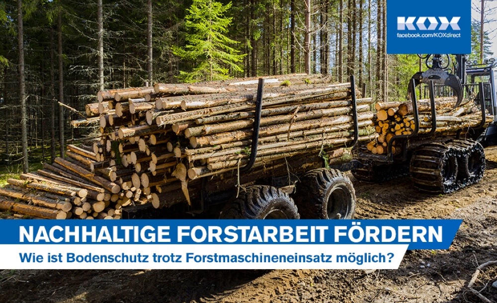 Nachhaltige Forstarbeit frdern: Wie ist Bodenschutz trotz Forstmaschineneinsatz mglich?