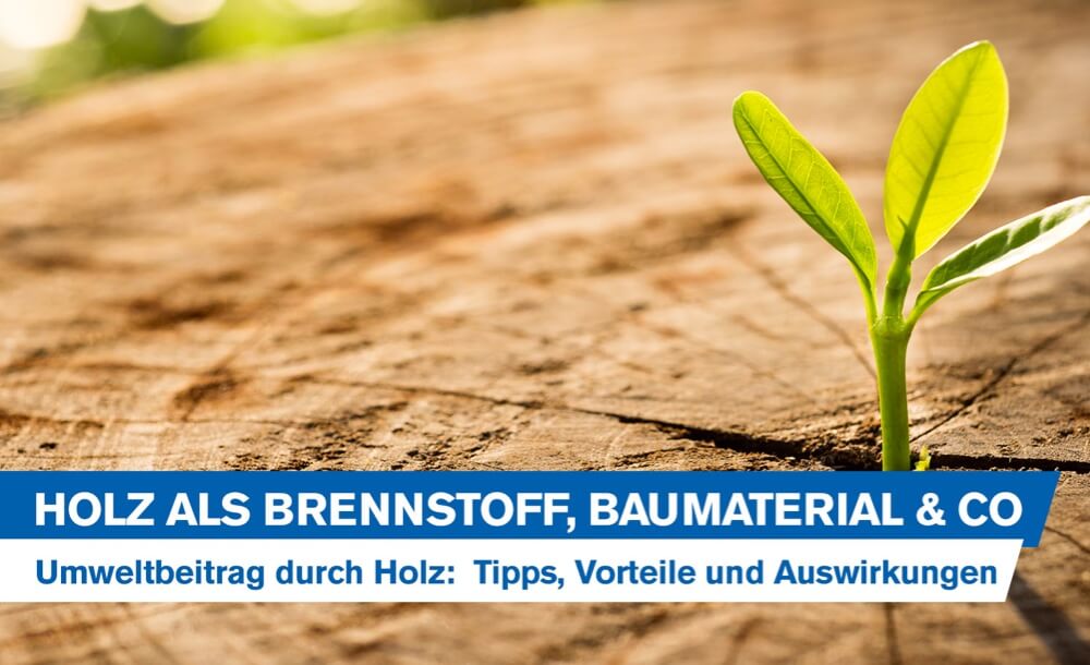 Umweltbeitrag durch Holz: Tipps, Vorteile und Auswirkungen von Holz als Brennstoff, Baumaterial & Co