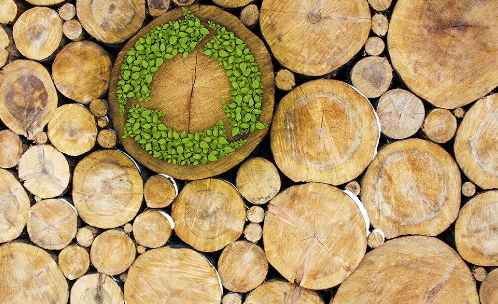 nachhaltigkeit-bauen-holz-naturschutz-natur-baumaterial-material-umwelt-forst