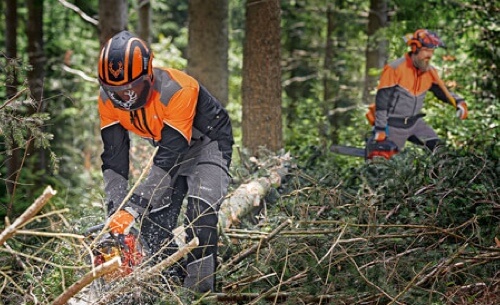 Schnittschutzkleidung Clearance