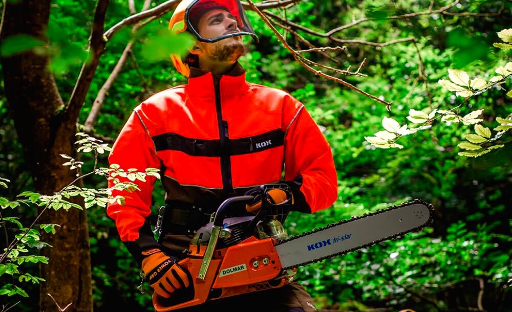 schutz-unkraut-forst-tipps-gegen-unerwuenschtes-wachstum-wald-waldarbeiter