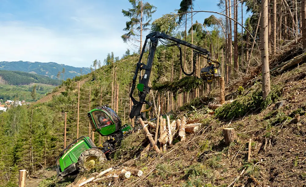 steilhang-holz-ernten-raupenharvester-maschinen-technik-seilwinde-harvester-einsatz
