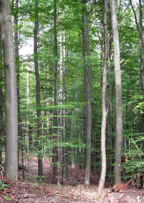 Interview Kerstin Seitz