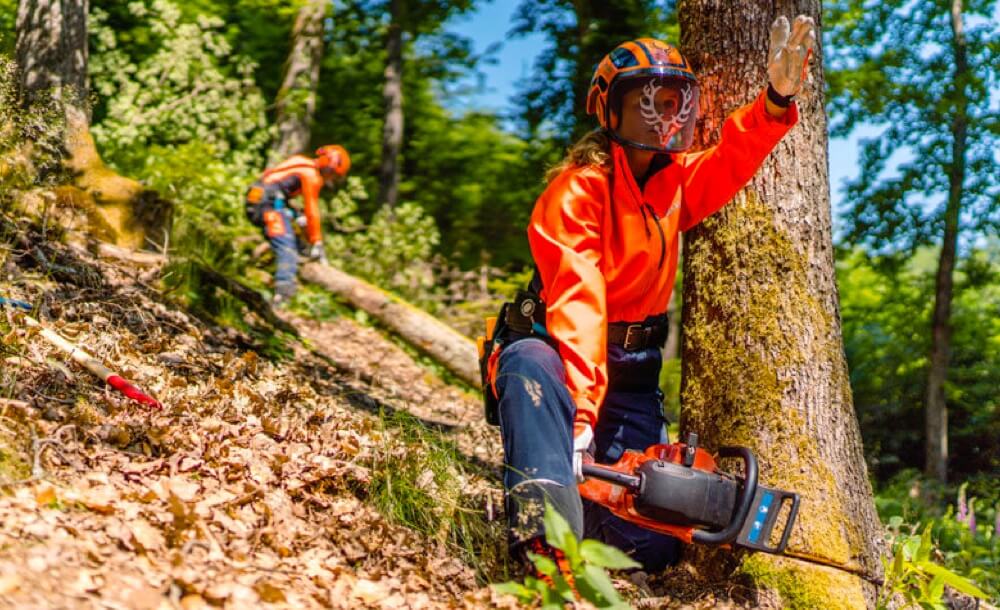 Interview Bayerische Waldknigin