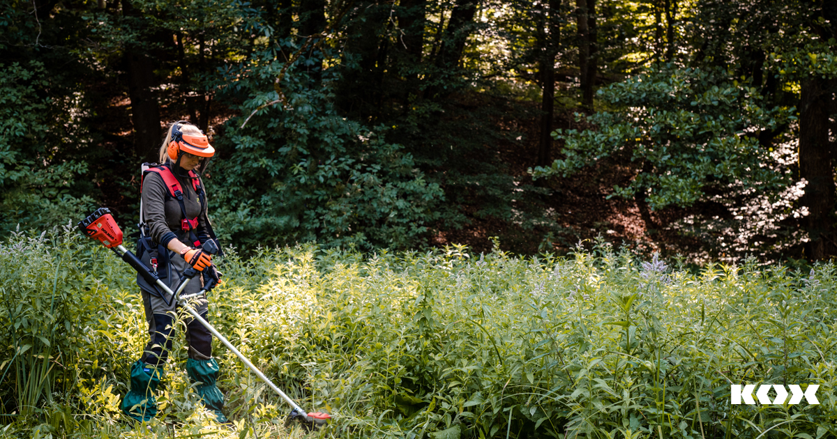 Schutz vor unerwnschter Begleitvegetation im Forst: Tipps und Manahmen gegen unerwnschtes Wachstum