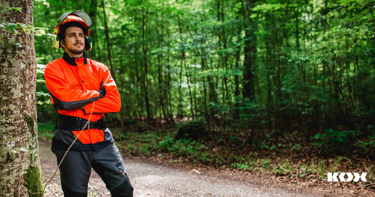 Forstarbeiter Holzpflege Tipps: Wertstung als eine Manahme der Wertholzproduktion
