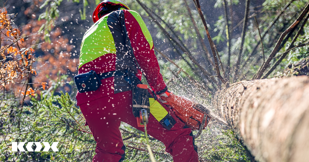 Pflege & Wartung der Kettensge