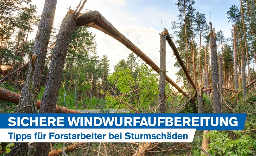 windwurfaufarbeitung-sturmschaeden-sturmhoelzer-beseitigen-windwurf-techniken-risiko-sicherheit-top-tipps