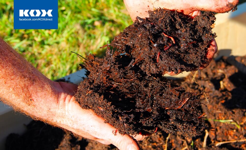 200218_KOX_Blog_Maerz_DE_Erde-1536x816