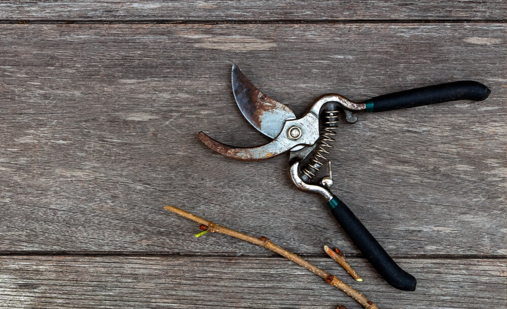 200312_KOX_Blogpost_April_DE_Gartenpflege_2-1536x816