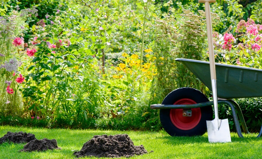 200616_KOX_Blog_Juni_DE_Maulwurf_2-1536x816