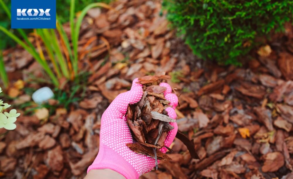 ab1-rindenmulch-top-gartentipps-sommer-2019-garten-hitzetauglich-hitze-trockenheit-tipps-pflanzen-rasen-blumen-ratgeber