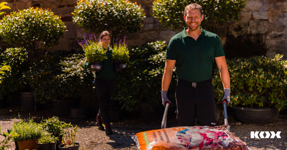 Die wichtigsten Gartengerte