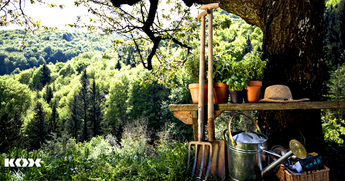 Top 10 wichtigsten Gartengerte und Gartenwerkzeuge fr Hobbygrtner