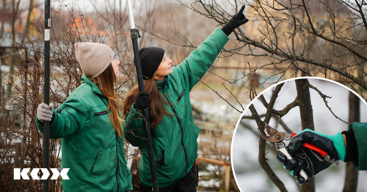Von wegen Winterschlaf: 5 Tipps zur Gartenarbeit und Gartenpflege im Winter