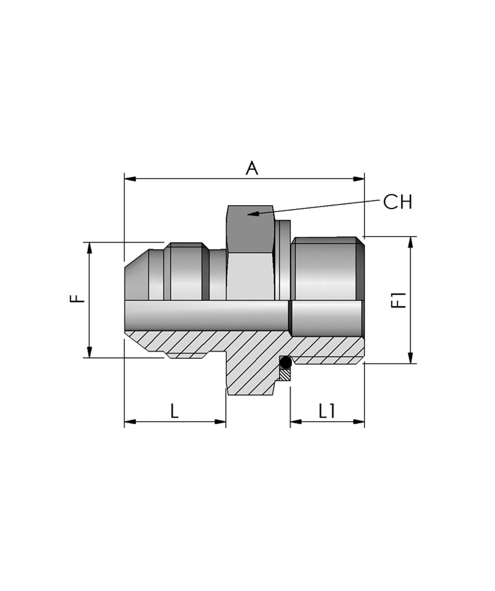 FB Hydraulik Adapter JIC BSP, AG-JIC 37 Konus x AG-BSPP O Ring, XXST6017-0000