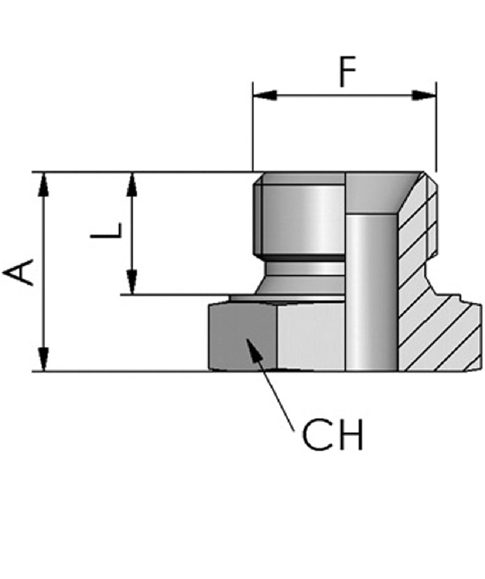 FB Hydraulik Schrauben als Staub- und Gewindeschutz, BSP Sechskant, 60 Konus, XXST154-0000